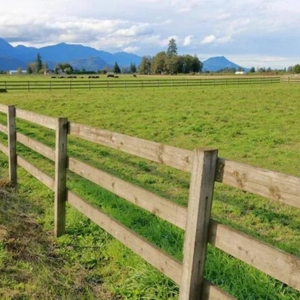 Fencing & Gates